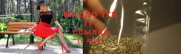 мдпв Богородск