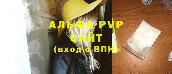 гашик Богданович