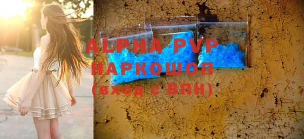 гашик Богданович