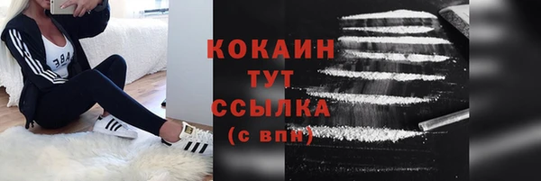 мдпв Богородск