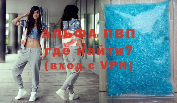 гашик Богданович