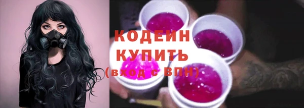 гашик Богданович