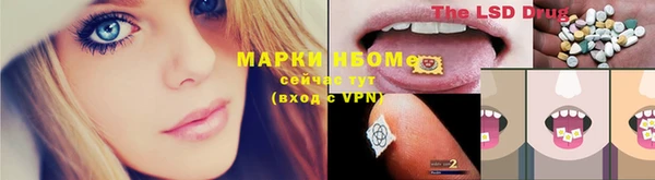 ПСИЛОЦИБИНОВЫЕ ГРИБЫ Богородицк
