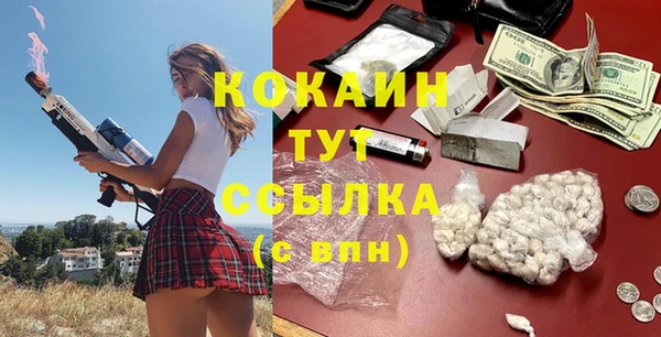 мдпв Богородск