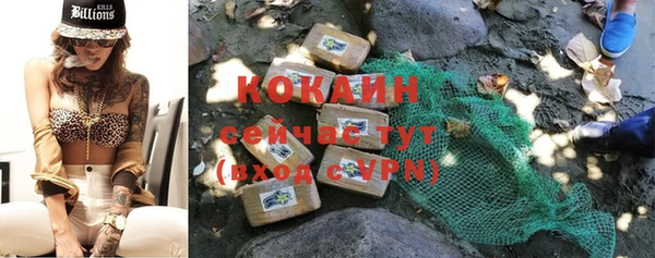 мдпв Богородск
