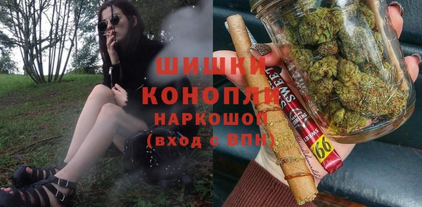 мдпв Богородск