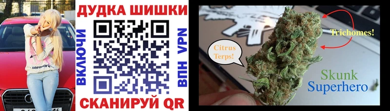 блэк спрут маркетплейс  где купить   Малая Вишера  Конопля ГИДРОПОН 